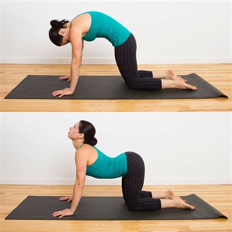 Cat Cow | Yoga sequences, Post partum workout, Yoga