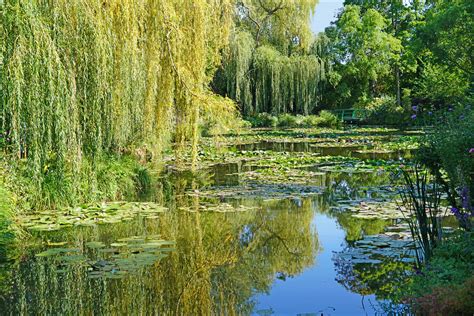 Le jardin d'eau de Claude Monet (Giverny) | Amateur d'art ja… | Flickr