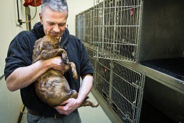 Bay County Animal Shelter hires newest employee during his stay in the county jail - mlive.com