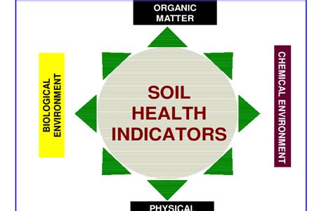 ndicators of Soil Health | Download Scientific Diagram