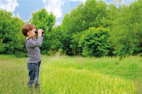 5 birdwatching tips to give nature a home in your school