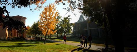 California State University Stanislaus | Colleges and college things