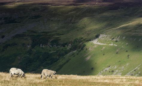 Swaledales in Swaledale | Natural landmarks, Landscape, Landmarks