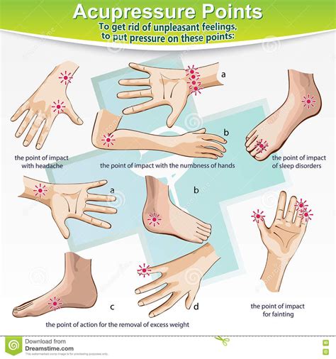 Massage Therapy Acupressure Points. Illustration about ache ...