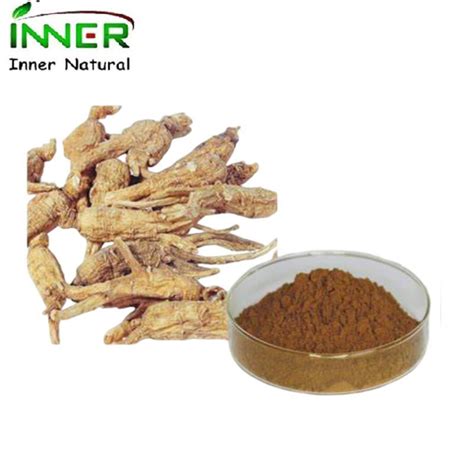 Dong Quai Sinensis Ligustilide Dong Powder Angelica Root Extract ...