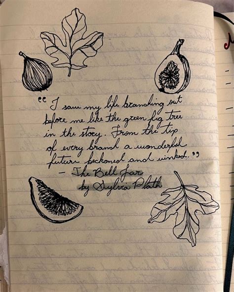 an open notebook with writing on it and drawings of leaves, figs and fruit