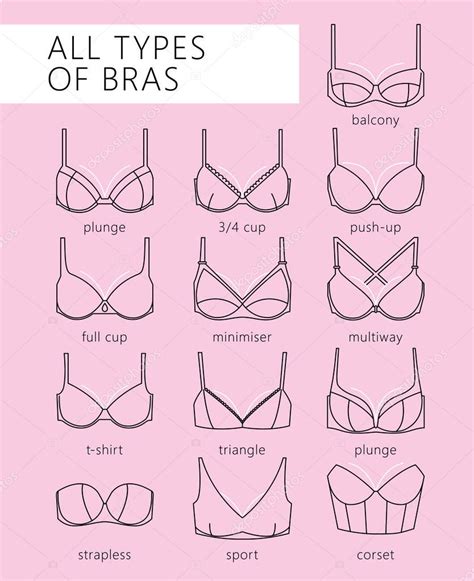 Types of bras — Stock Vector © Lazuin.gmail.com #129200606