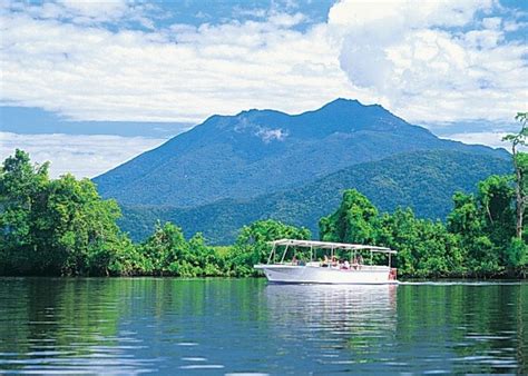 Daintree Rainforest Weather - Visit Daintree Rainforest