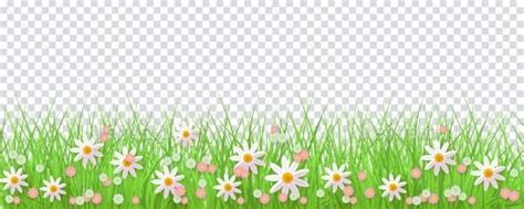 45+ New Daisies Clipart Grass Prairie