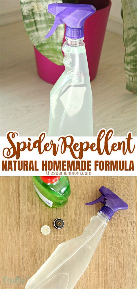 Spider Repellent DIY For Home & Garden | Easy Peasy Creative Ideas