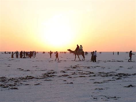 Rann utsav Tent City Price | Tent City Kutch Price - Jas Tours & Travels