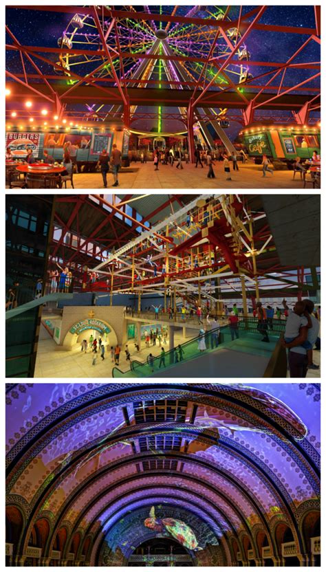 Reasons To Be Excited For The Union Station Aquarium - Seeing Dandy Blog