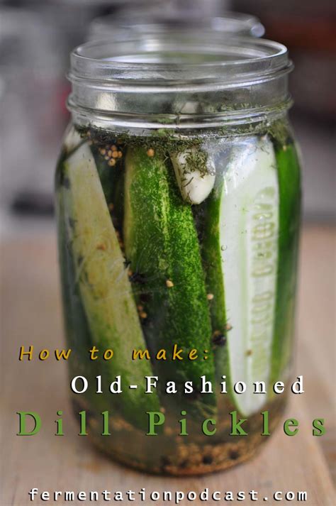 Homemade Dill Pickle Recipe | The Fermentation Podcast