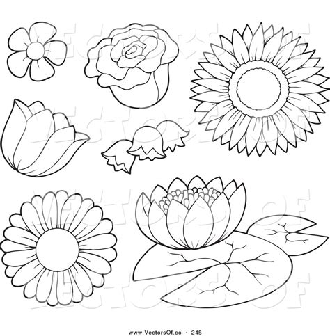 Free Flower Outlines, Download Free Flower Outlines png images, Free ...