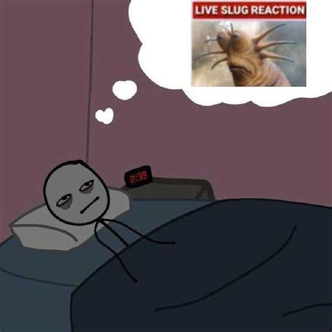 Live Slug Reaction Meme Phenomenon Live Slug Reaction Meme for famous with Gastropod, Land Slug ...