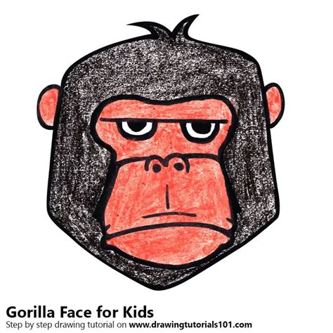 Learn How to Draw a Gorilla Face for Kids (Animal Faces for Kids) Step by Step : Drawing Tutorials