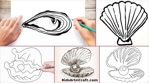 Oyster Drawing & Sketches For Kids - Kids Art & Craft