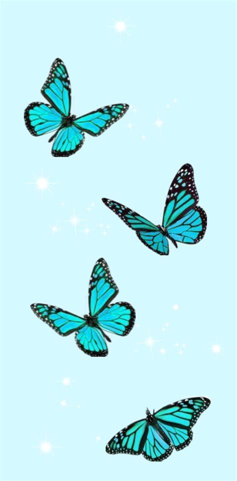 Cute Butterfly Wallpapers