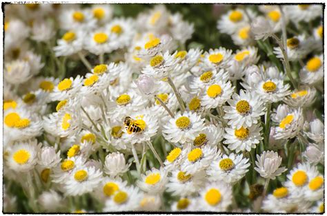 Kirstenbosch Botanical Garden on Behance