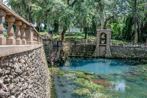 Admire one of Georgia's seven natural wonders! Radium Springs Gardens ...