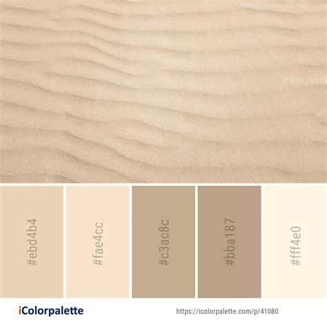 10 Beige Color Palette ideas in 2024 | iColorpalette