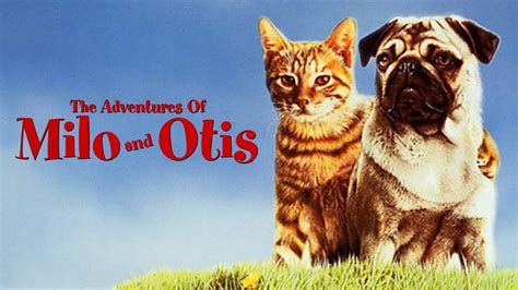 The Adventures of Milo and Otis | Apple TV