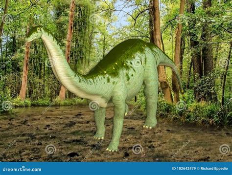 3D Illustration of Large Dinosaur Standing in Swamp Stock Illustration ...