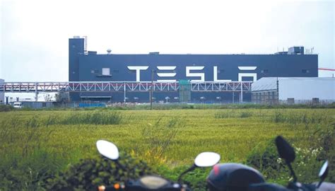 Tesla launches Shanghai battery plant project - The Business Post