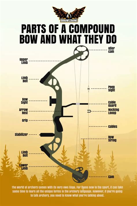 Parts Of Compound Bow And Its Explanation