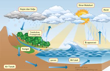 Water Cycle | Scientific Insights