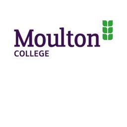 Working at Moulton College in Northampton: Employee Reviews | Indeed.com