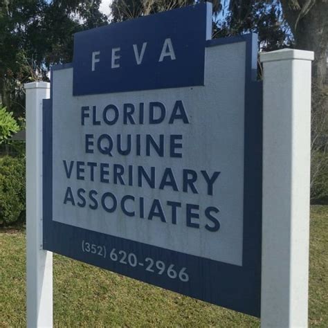 About Florida Equine Veterinary Associates | Equine | Ocala Vet