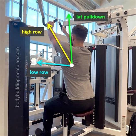 Difference Between Seated Row And Lat Pulldown | Elcho Table