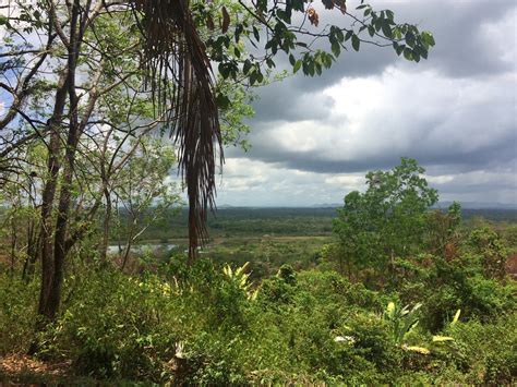 The ‘Big Hat’: Safeguarding heritage at Nim Li Punit, Belize — Heritage Education Network Belize