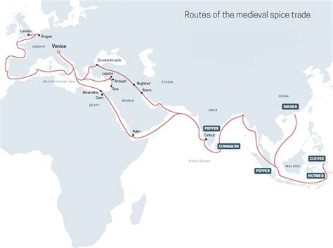 Ancient Spice Trade Routes