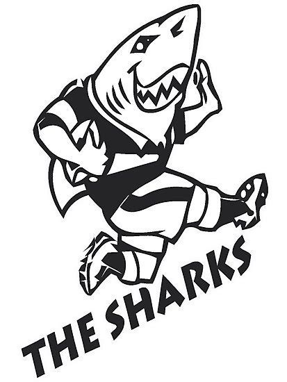 Shark Rugby Logo – Two Birds Home