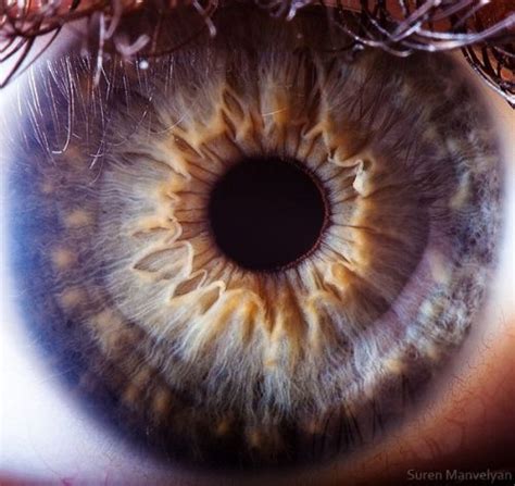 MACRO Eyes | Suren Manvelyan - Arch2O.com