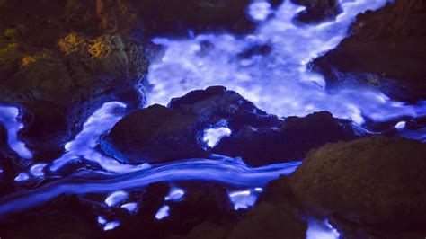 Watch Talking Pictures | The Blue Lava of Indonesia | WIRED