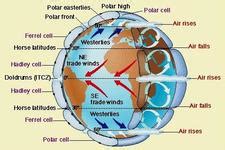 43 wind belts diagram