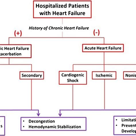 The recurring symptomatic clinical volume overload and congestion in ...