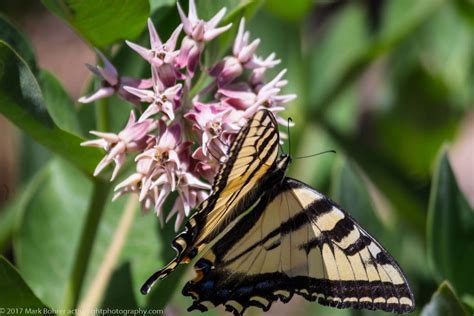 Photograph Desert Wildlife - Now Is The Time | Active Light Photography | Photo Tours to Hidden ...