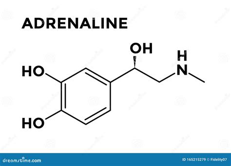 Adrenaline - Epinephrine, Adrenal Gland Hormone Structural Formula Stock Vector - Illustration ...