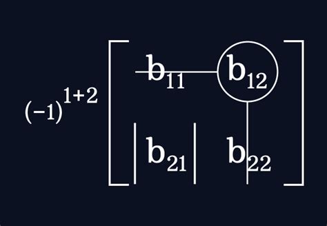 Cofactors of a 2×2 Matrix