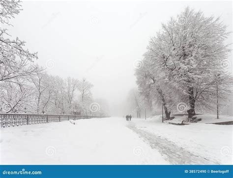 Winter city park stock photo. Image of climate, promenade - 38572490