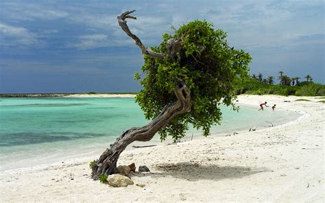 Baby Beach / Aruba / The Caribbean // World Beach Guide