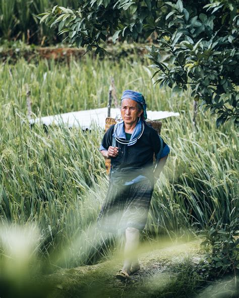 THE MAJESTIC HA GIANG RICE TERRACES > Topas Travel