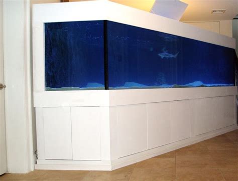 custom shark tank | Glass fish tanks, Fish tank, Aquarium