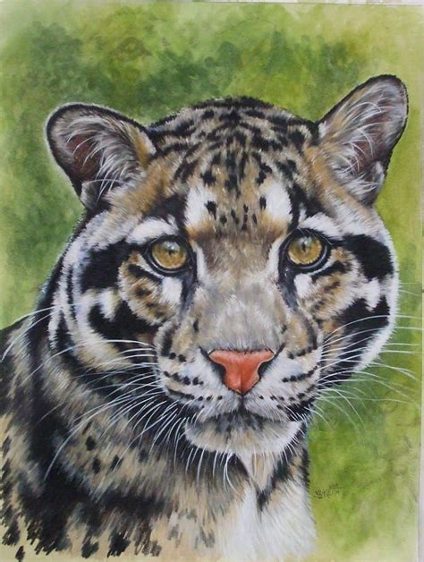 Clouded Leopard Painting - Small But Powerful by Barbara Keith | Leopard painting, Cat artwork ...