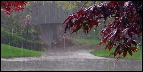 The Indian Climate - The Monsoon Season of India (Rainy) - Study Wrap