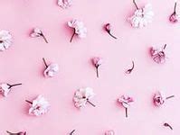 16 Pastel pink wallpaper ideas | pink wallpaper, flower backgrounds ...